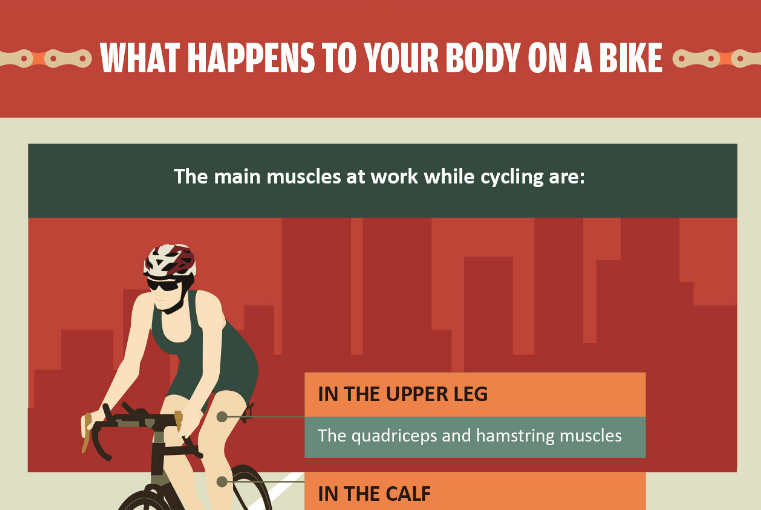 How Biking Affects Your Body